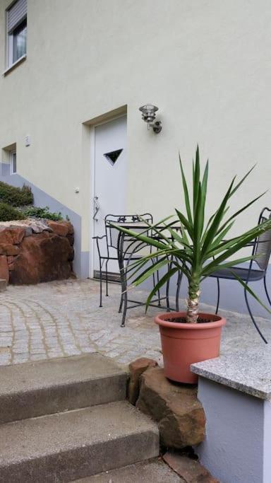 Ferienwohnung Talblick Im Schwarzwald Seelbach  Εξωτερικό φωτογραφία