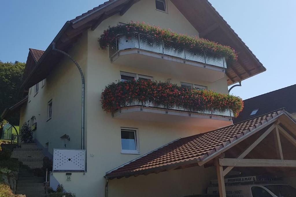 Ferienwohnung Talblick Im Schwarzwald Seelbach  Εξωτερικό φωτογραφία