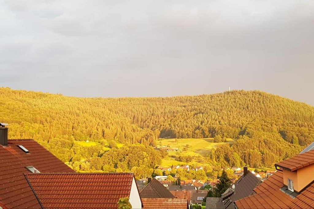 Ferienwohnung Talblick Im Schwarzwald Seelbach  Εξωτερικό φωτογραφία