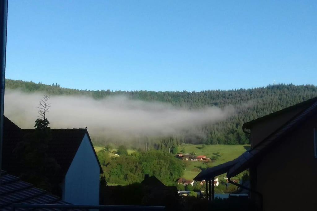 Ferienwohnung Talblick Im Schwarzwald Seelbach  Εξωτερικό φωτογραφία