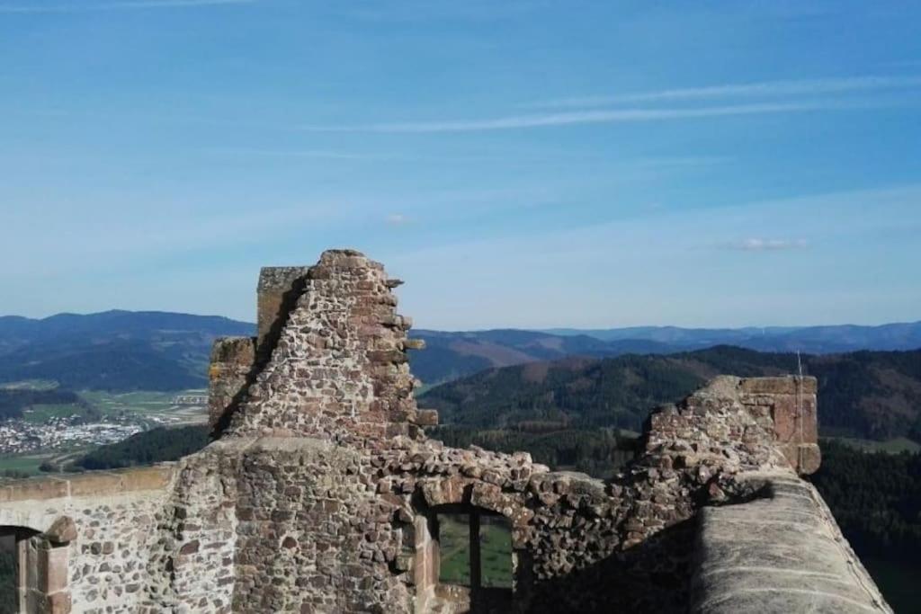Ferienwohnung Talblick Im Schwarzwald Seelbach  Εξωτερικό φωτογραφία