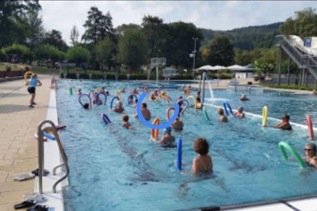 Ferienwohnung Talblick Im Schwarzwald Seelbach  Εξωτερικό φωτογραφία