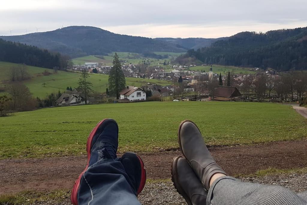 Ferienwohnung Talblick Im Schwarzwald Seelbach  Εξωτερικό φωτογραφία