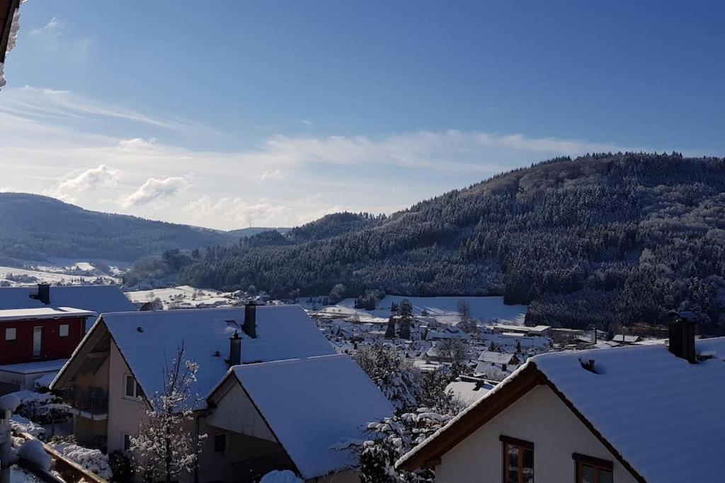 Ferienwohnung Talblick Im Schwarzwald Seelbach  Εξωτερικό φωτογραφία
