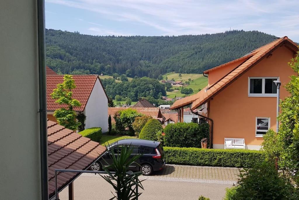 Ferienwohnung Talblick Im Schwarzwald Seelbach  Εξωτερικό φωτογραφία