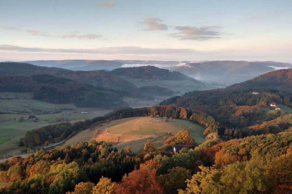 Ferienwohnung Talblick Im Schwarzwald Seelbach  Εξωτερικό φωτογραφία
