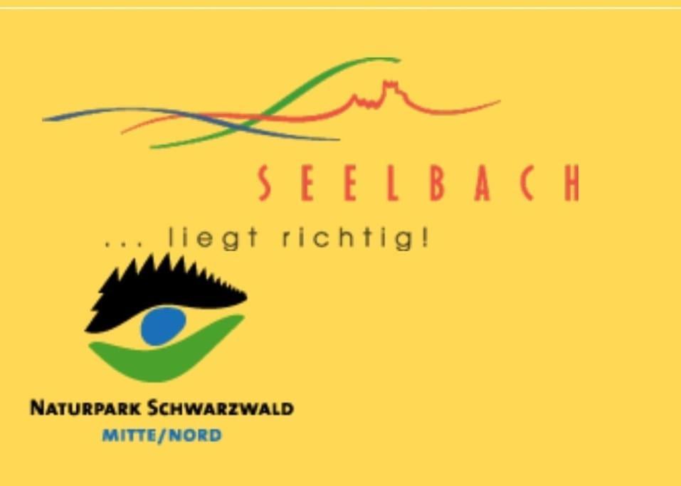 Ferienwohnung Talblick Im Schwarzwald Seelbach  Εξωτερικό φωτογραφία