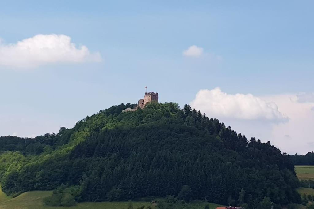 Ferienwohnung Talblick Im Schwarzwald Seelbach  Εξωτερικό φωτογραφία
