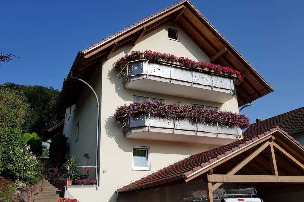 Ferienwohnung Talblick Im Schwarzwald Seelbach  Εξωτερικό φωτογραφία
