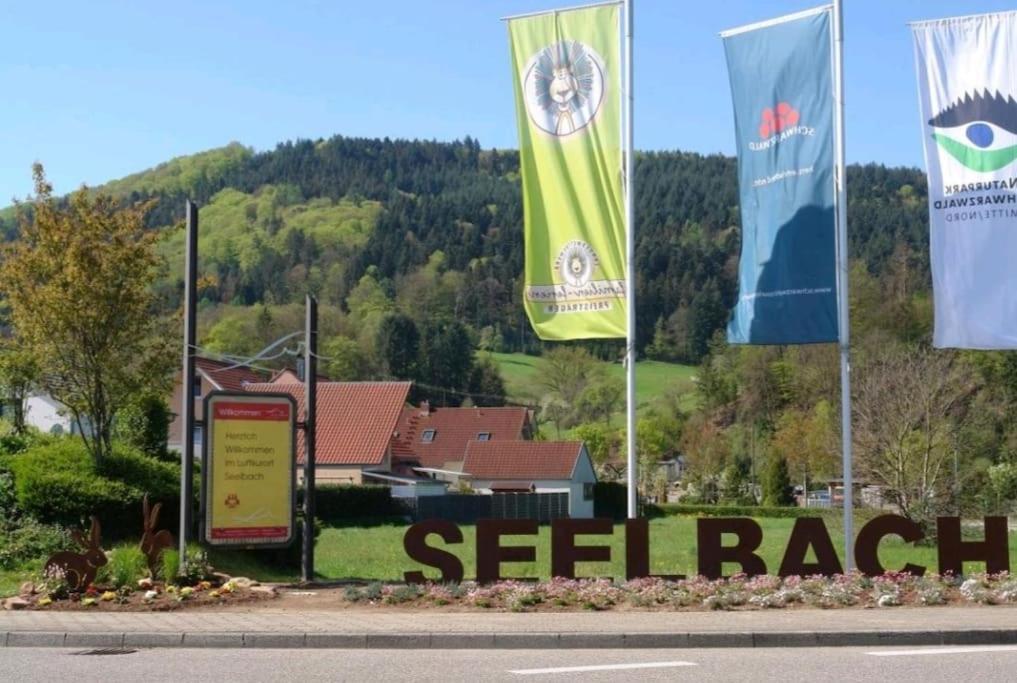 Ferienwohnung Talblick Im Schwarzwald Seelbach  Εξωτερικό φωτογραφία