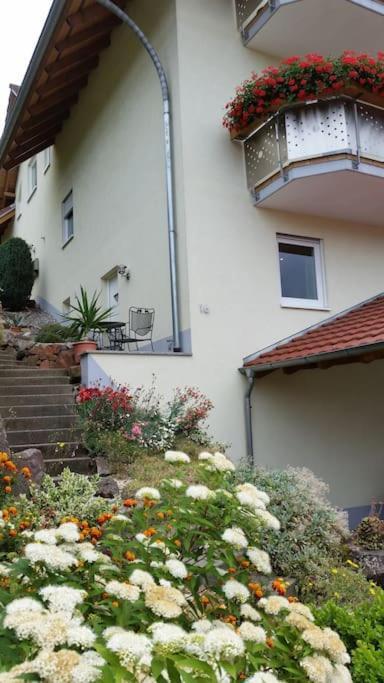 Ferienwohnung Talblick Im Schwarzwald Seelbach  Εξωτερικό φωτογραφία