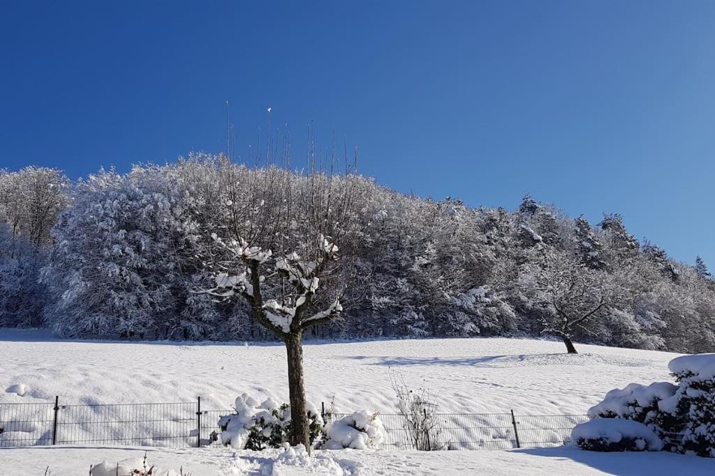 Ferienwohnung Talblick Im Schwarzwald Seelbach  Εξωτερικό φωτογραφία