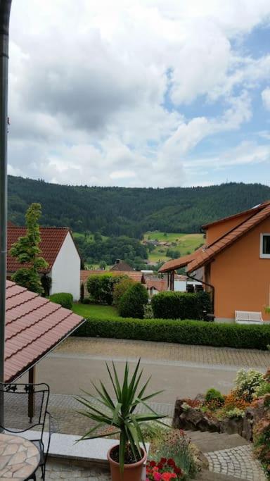 Ferienwohnung Talblick Im Schwarzwald Seelbach  Εξωτερικό φωτογραφία