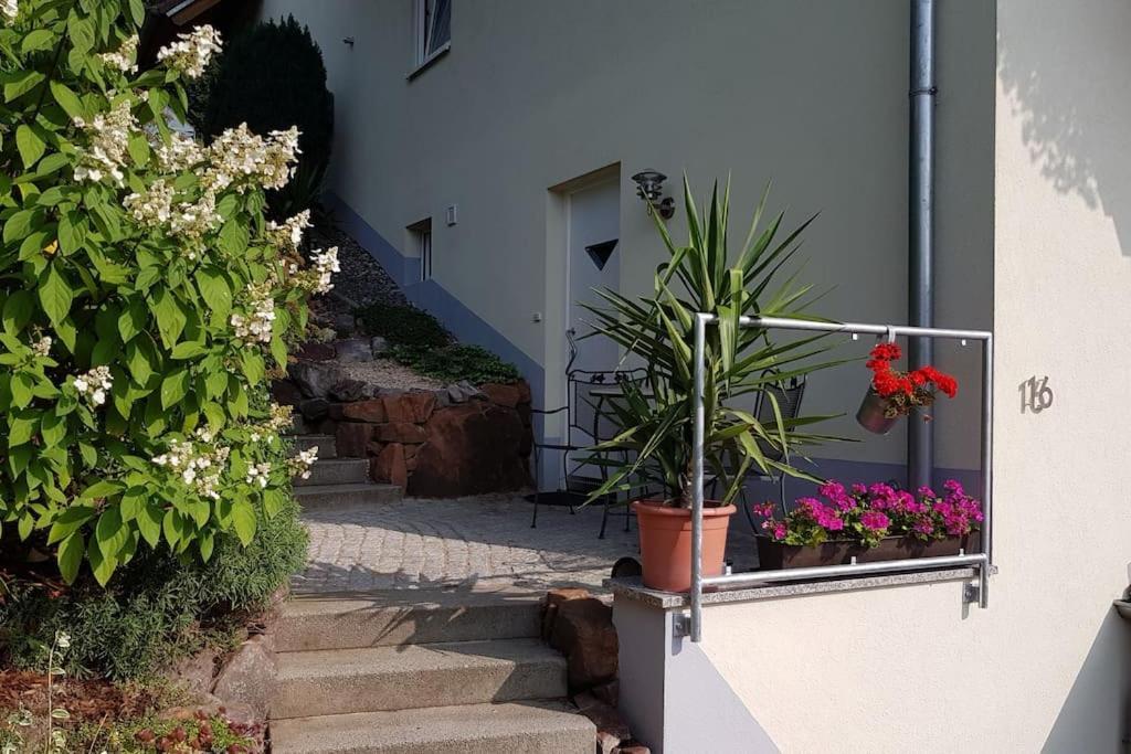 Ferienwohnung Talblick Im Schwarzwald Seelbach  Εξωτερικό φωτογραφία